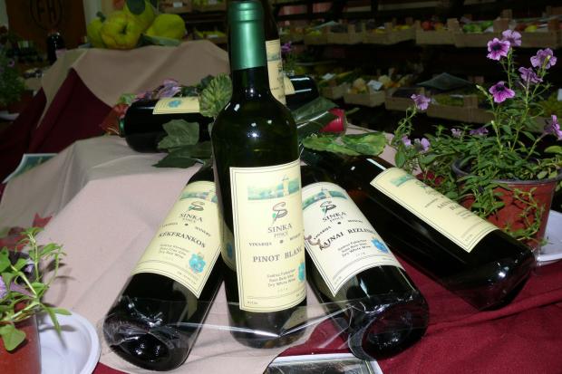 Održani 47. Berbanski dani u Hajdukovu