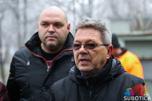 Crveni javor za malog Noela