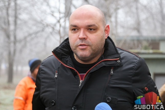 Crveni javor za malog Noela