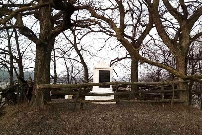 Nije pouzdano utvrđeno da je "Čobanov krst" u šumi namerno polomljen