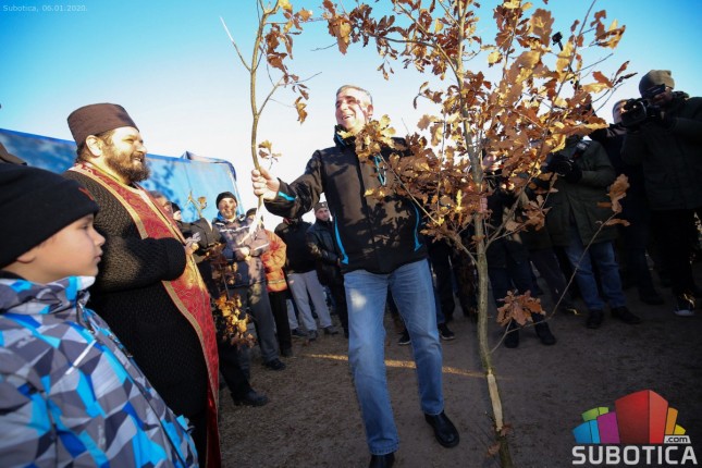 Tradicionalni odlazak po badnjak na Badnje jutro