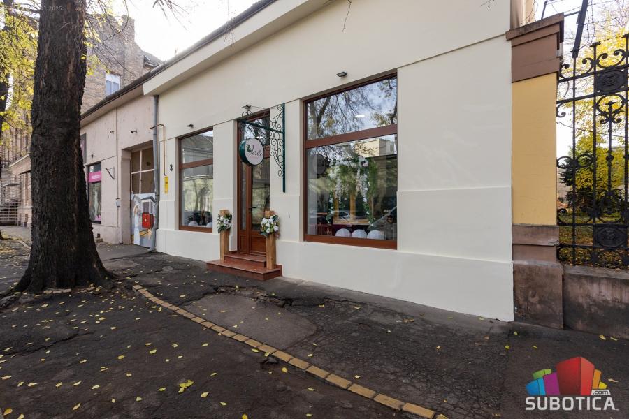 Cvećara "Studio Verde" – gde priroda govori zelenim jezikom