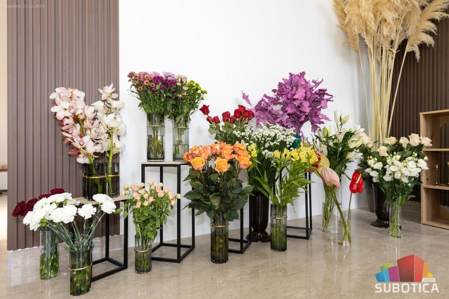 Cvećara "Studio Verde" – gde priroda govori zelenim jezikom