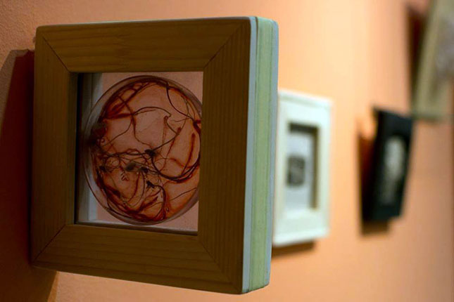 Izložbena ponuda Gradskog muzeja Subotica