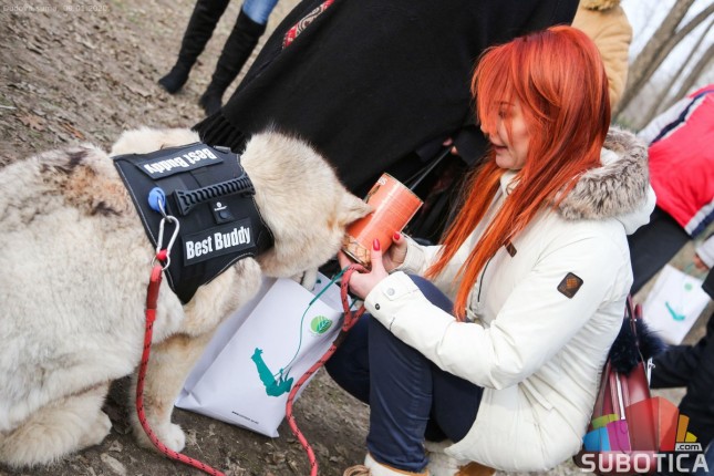 Otvoreni parkovi za pse u Dudovoj šumi i na Prozivci