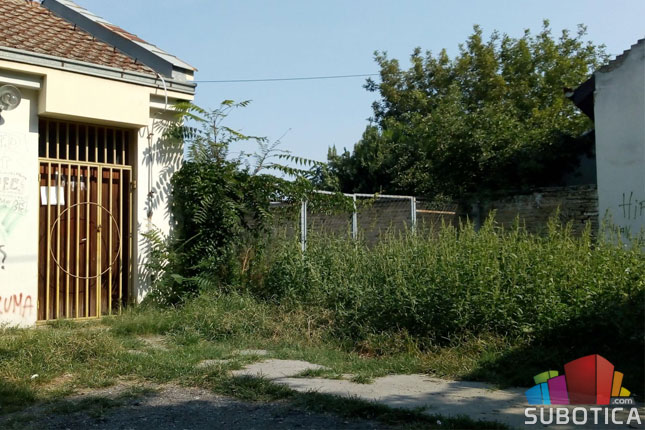 Koje zelene površine održava "Čistoća", a koje građani?