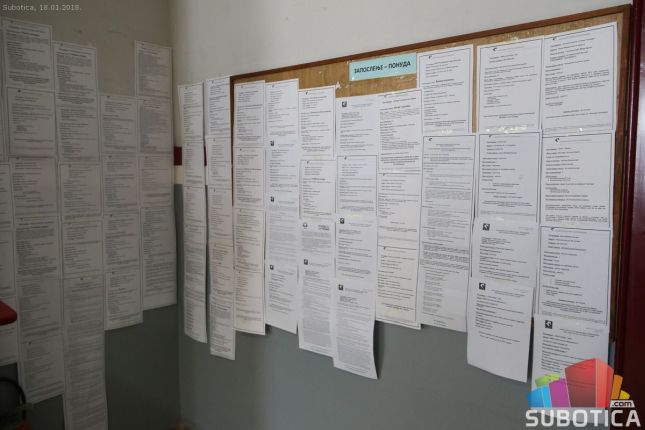 Korisne obuke Nacionalne službe za zapošljavanje prilikom traženja posla