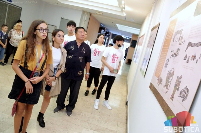 Predstavljen delić najveće svetske riznice figura od senki i lutaka