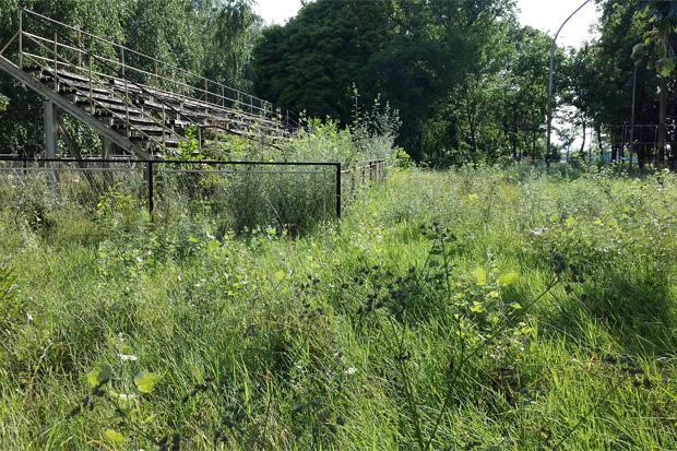 Nebriga o sportskom terenu na Paliću