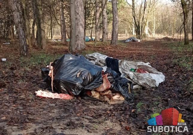 Začarani krug Kelebijske šume