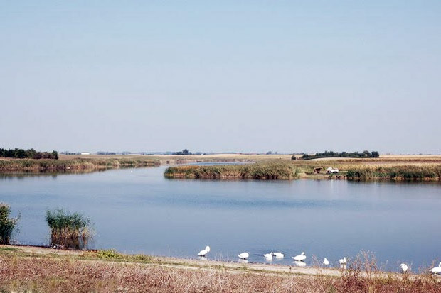 Tavankut iz dana u dan sve mlađi