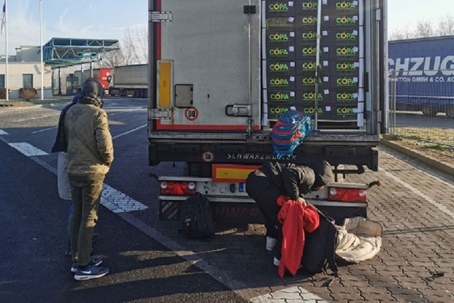 Migranti u hladnjači punoj jabuka