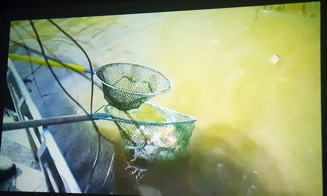 Održana projekcija kratkih video zapisa o Subotici, autora Nikole Tumbasa