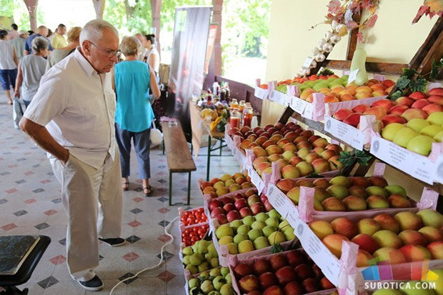 Počeli Berbanski dani na Paliću