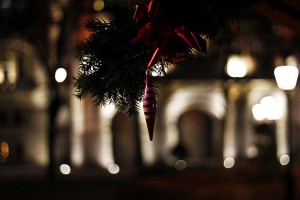 Winterfest - novogodišnji vašar u Subotici, fotografije uoči otvaranja