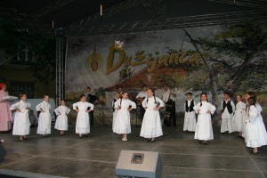Dužijanca malenih 2012