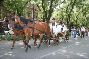 Dužijanca malenih 2012, ceremonija predaje hleba