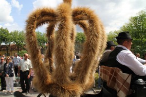 Dužijanca 2012 - Povorka