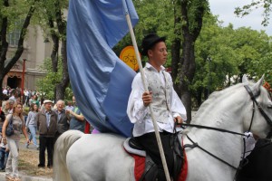 Dužijanca 2012 - Povorka