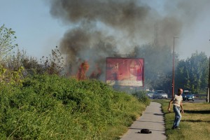 Gorelo rastinje u krugu bivše fabrike Zorka
