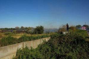 Gorelo rastinje u krugu bivše fabrike Zorka