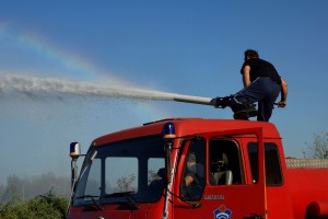 Gorelo rastinje u krugu bivše fabrike Zorka