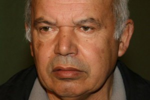 Primena Zakona o nacionalnim savetima nacionalnih manjina