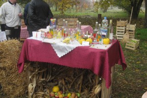 5. Festival mlade rakije - Ljutovo 2012