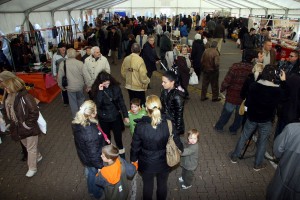 Svinjokoljski dani u centru grada