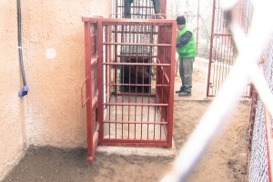 Nova kuća za mrkog medveda