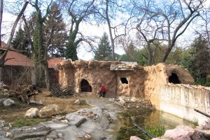 Nova kuća za mrkog medveda