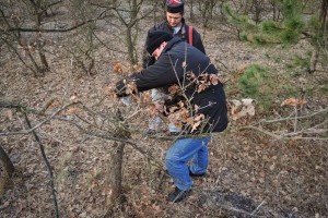 Seča i osveštanje badnjaka