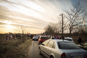 Seča i osveštanje badnjaka