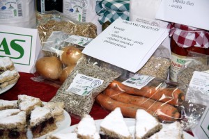 Saradnja: Udruženje Terra’s i Gerontološki centar