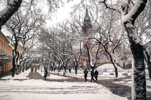 Topi se sneg, više temperature "čiste" puteve