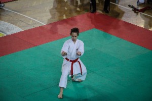 XIV Super Enpi međunarodni karate Kup - takmičenje u katama