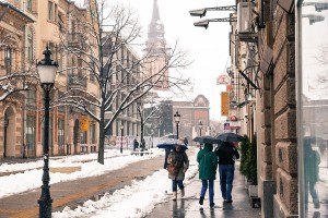 Snežna patrola (sneg i pada i topi se)