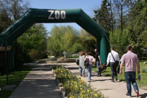 Otvorena volijera za mrkog medveda