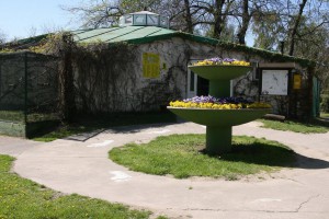 Otvorena volijera za mrkog medveda