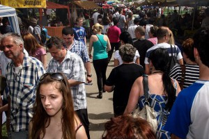 Proslava 1. maja na Paliću (#2)