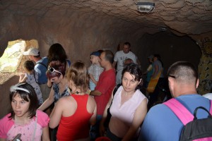 Proslava 1. maja na Paliću (Zoo vrt)