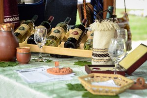 1. maj u Kanjiži (koncert: Hari Mata Hari)