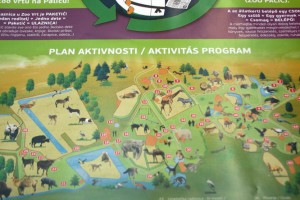 Reciklenko - Prva subotička sportska bajka