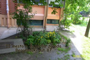 Nagrađeni na konkursu "Najlepša bašta i balkon 2013"