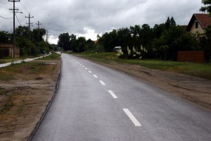 Pajtić obišao Čordaški put