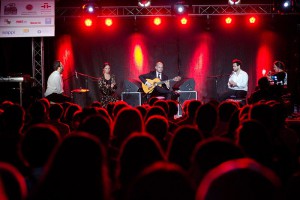 Etnofest 2013 - festival kultura sveta (fotografije: Edvard Molnar i Nikola Lučić)