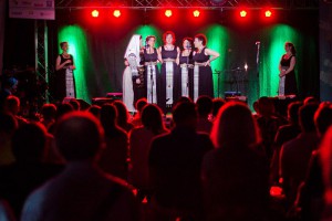 Etnofest 2013 - festival kultura sveta (fotografije: Edvard Molnar i Nikola Lučić)