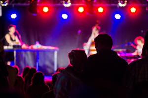 Etnofest 2013 - festival kultura sveta (fotografije: Edvard Molnar i Nikola Lučić)