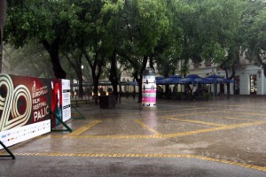 Dužijanca malenih 2013