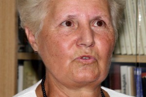 Saniranje krova Doma učenika "dr Rehak Laslo"